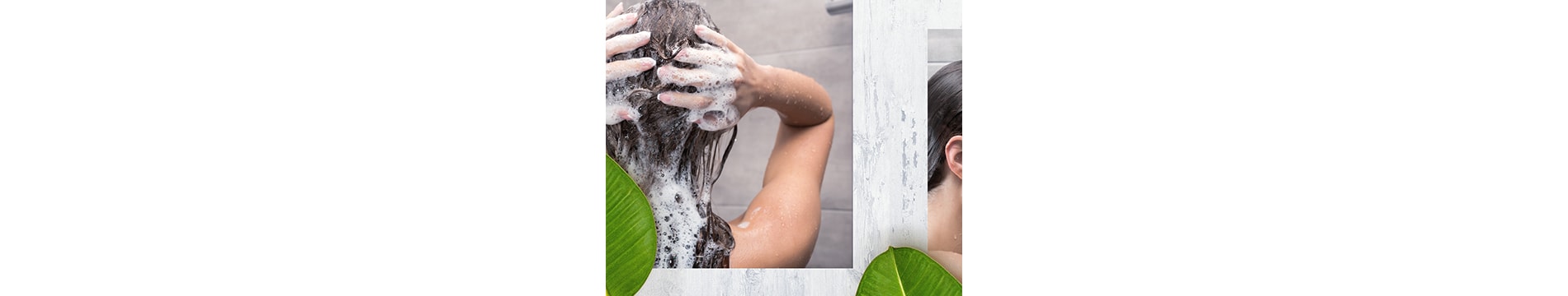 Shampoo sin sulfatos 3
