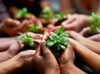 reduciendo-el-impacto-ambiental