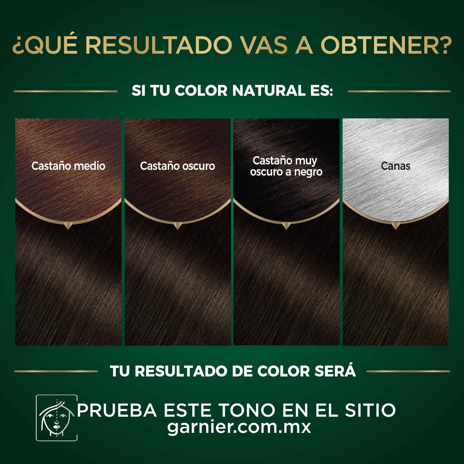 COLORACIÓN SIN AMONIACO NUTRISSE OLEOS TONO 4.0 CASTAÑO RESULTADOS A OBTENER