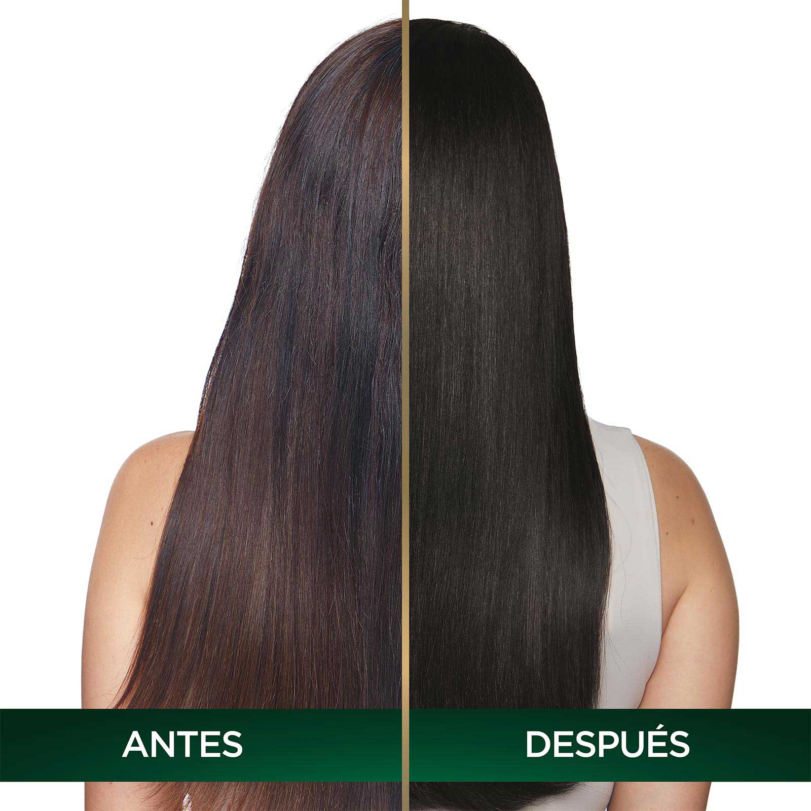 COLORACIÓN SIN AMONIACO NUTRISSE OLEOS TONO 4.0 CASTAÑO ANTES Y DESPUES