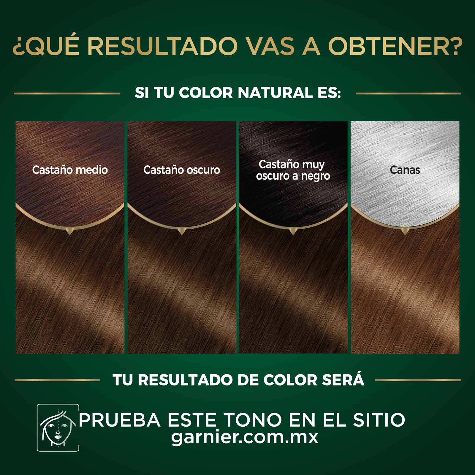 COLORACIÓN SIN AMONIACO NUTRISSE OLEOS TONO 5.31 CASTAÑO DORADO CENIZO RESULTADOS A OBTENER