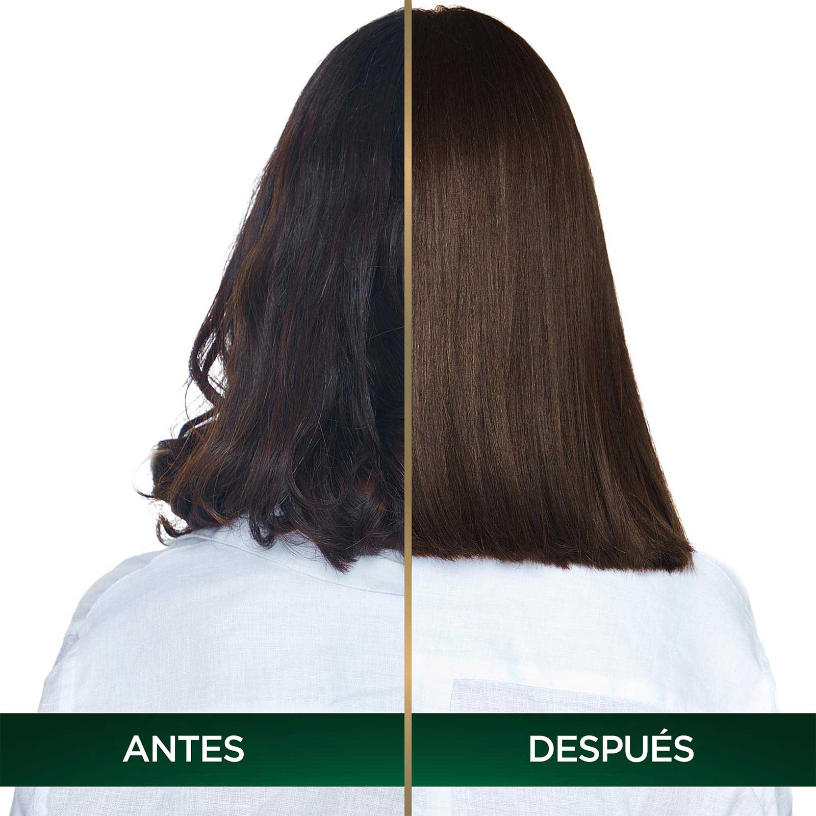 COLORACIÓN SIN AMONIACO NUTRISSE OLEOS TONO 5.31 CASTAÑO DORADO CENIZO ANTES Y DESPUES