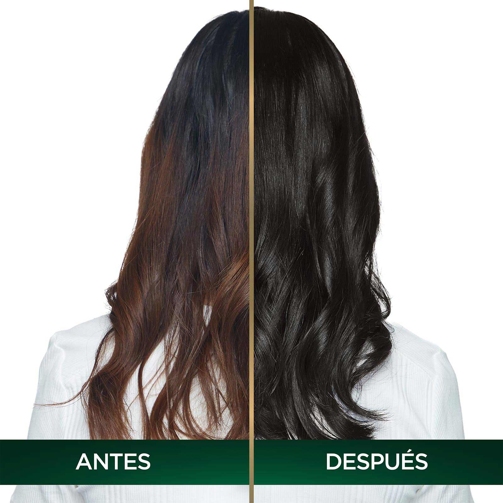 COLORACIÓN SIN AMONIACO NUTRISSE OLEOS TONO 3.0 CASTAÑO OSCURO ANTES Y DESPUES