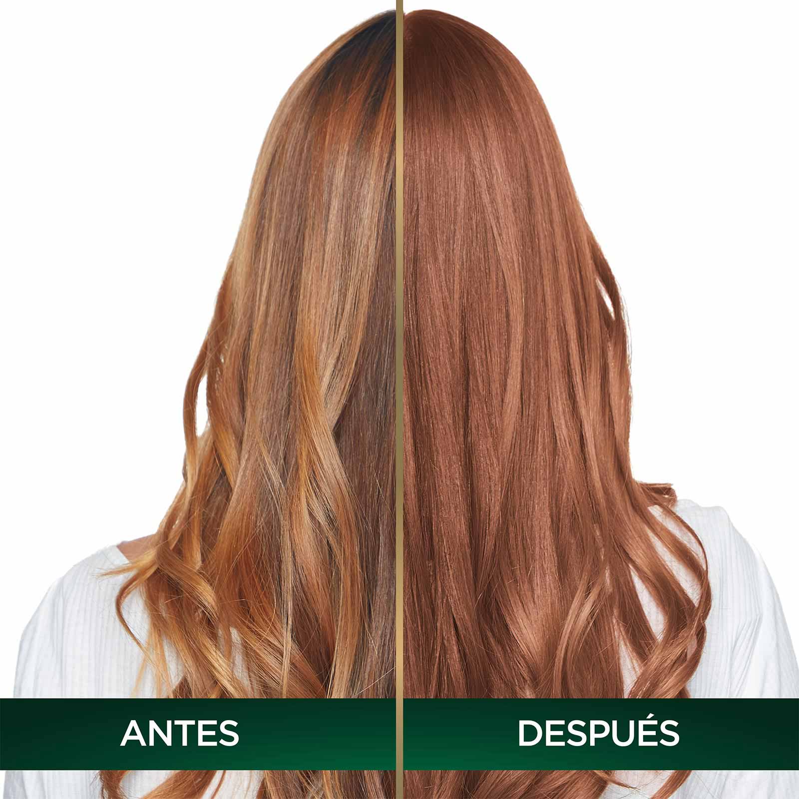 COLORACIÓN SIN AMONIACO NUTRISSE OLEOS TONO 7.35 RUBIO DORADO ANTES Y DESPUES