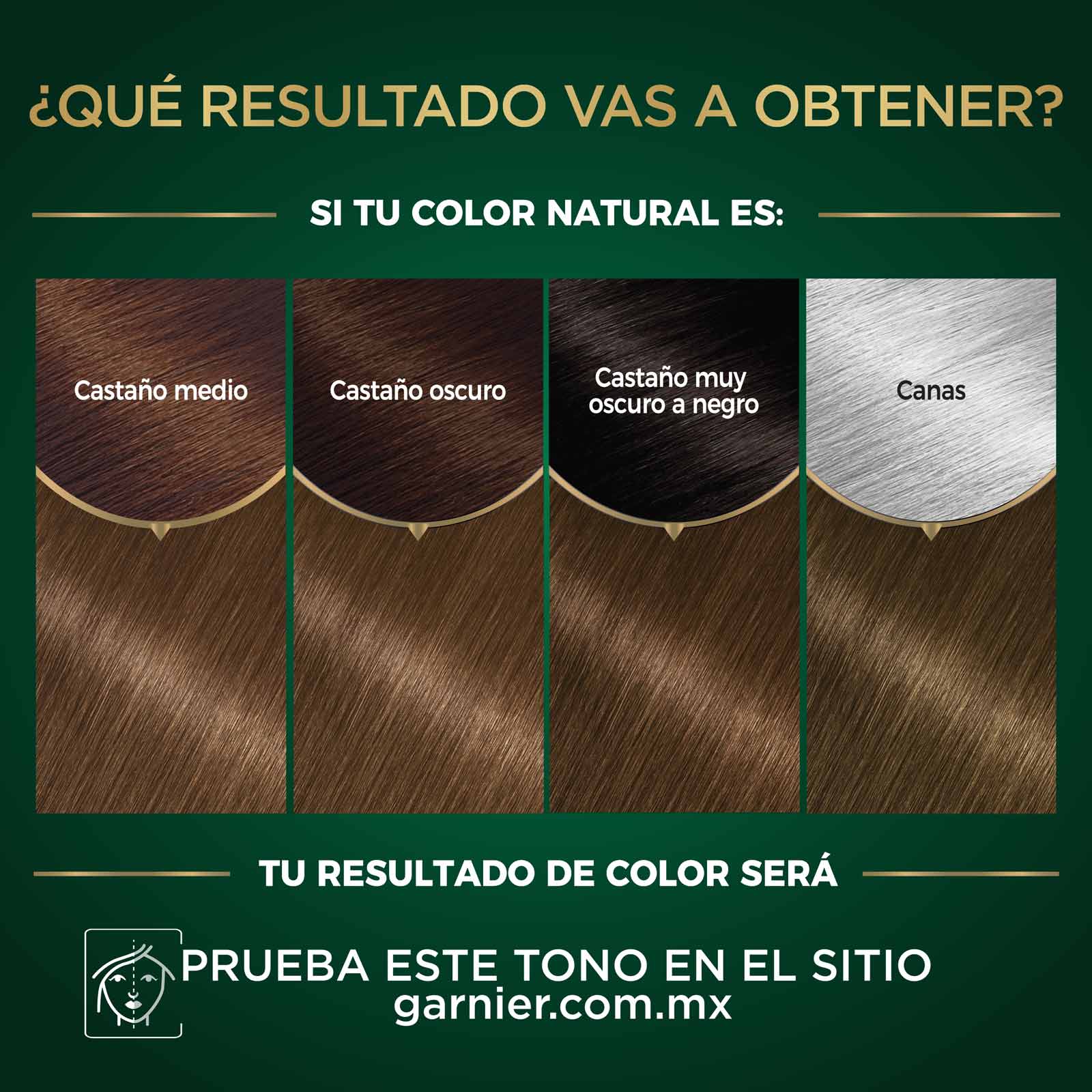 COLORACIÓN SIN AMONIACO NUTRISSE OLEOS TONO 6.0 RUBIO OSCURO RESULTADOS A OBTENER