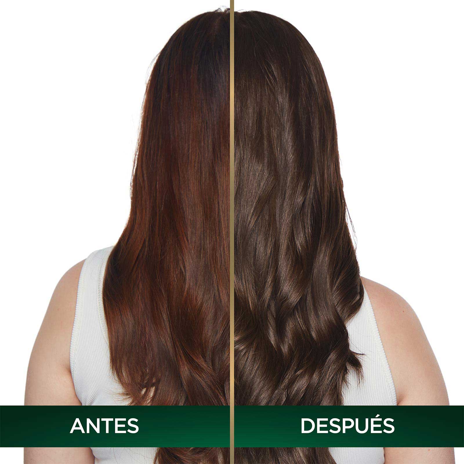 COLORACIÓN SIN AMONIACO NUTRISSE OLEOS TONO 6.0 RUBIO OSCURO ANTES Y DESPUES