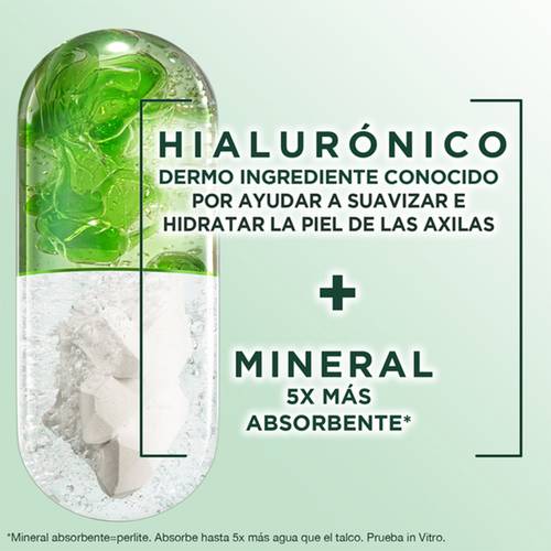 Garnier Obao Dermoeficacia Roll On  Hialurónico Beneficios Protección Suaviza Hidrata Dermoingrediente