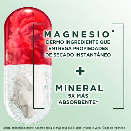Garnier Obao Dermoeficacia Roll On  Magnesio Beneficios Protección Extra Seco Secado Instantáneo Dermoingrediente