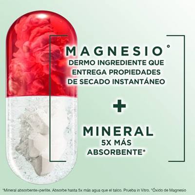 Garnier Obao Dermoeficacia Roll On Magnesio Beneficios Protección Extra Seco Secado Instantáneo Dermoingrediente